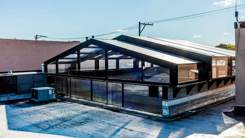 Happy Camper - Wrigleyville, Chicago, IL - 45' x 73'