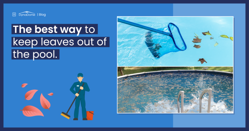 best-way-to-keep-leaves-out-of-pool-e1659687187144