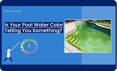 FINAL-Is-your-pool-water-color