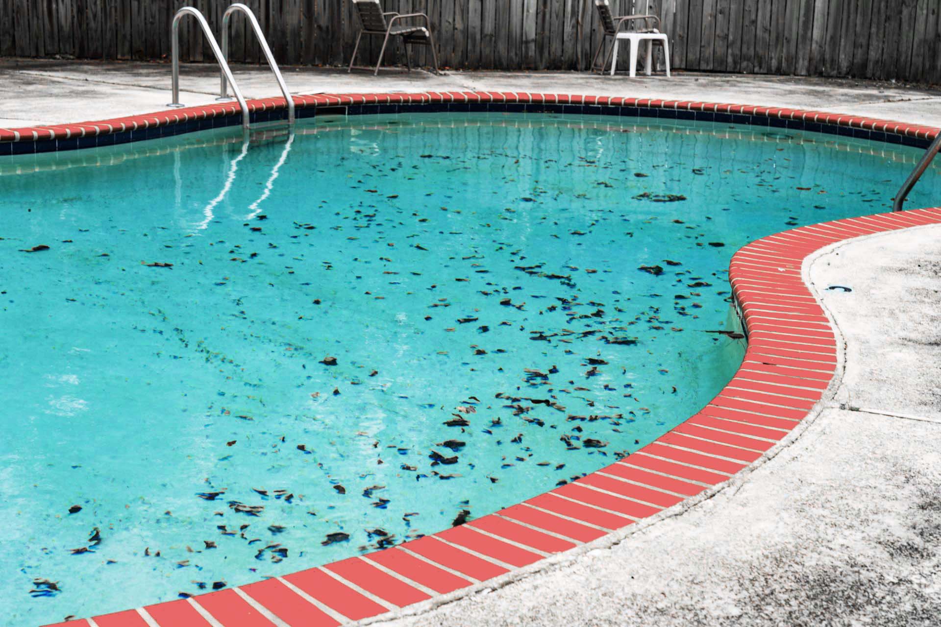 best way to keep leaves out of pool